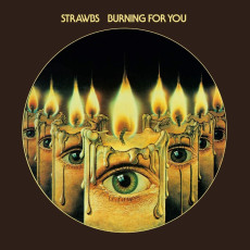 CD / Strawbs / Burning For You / Digipack