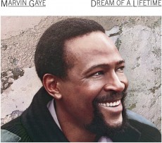 CD / Gaye Marvin / Dream Of a Lifetime