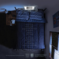 LP / Hawthorne Heights / If Only You Were  / Vinyl