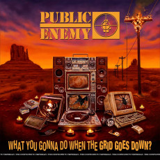 LP / Public Enemy / What You Gonna Do When The Grid Goes.. / Vinyl