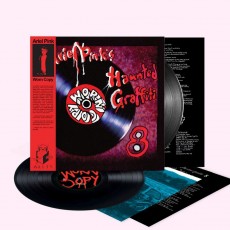 2LP / Ariel Pink / Worn Copy / Vinyl / 2LP
