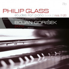 2LP / Glass Philip / Etudes For Piano, Nos 11-20 / Vinyl / 2LP