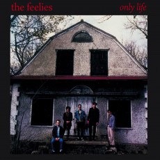 CD / Feelies / Only Life