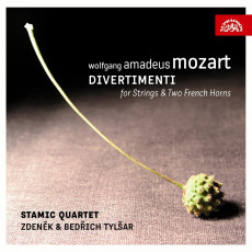 2CD / Mozart / Divertimenti / 2CD