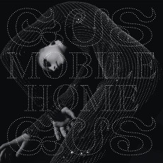 LP / Gusgus / Mobile Home / Vinyl