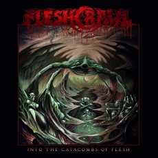CD / Fleshcrawl / Into the Catacombs of Flesh