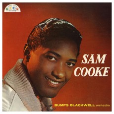 LP / Cooke Sam / Sam Cooke / Vinyl