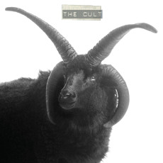 CD / Cult / Cult