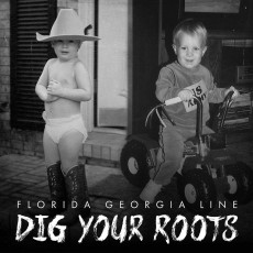 2LP / Florida Georgia Line / Dig Your Roots / Vinyl / 2LP