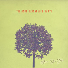 CD / Tillison Reingold Tiranti / Allium: Una Storia
