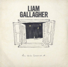 LP / Gallagher Liam / All You're Dreaming Of / Vinyl / Single