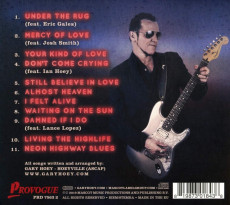 CD / Hoey Gary / Neon Highway Blues / Digipack