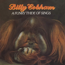 CD / Cobham Billy / Funky Thide Of Sings