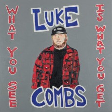 2LP / Combs Luke / What You See is What You Get / Vinyl / 2LP