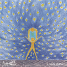 CD / O'Connor Sinead / Universal Mother