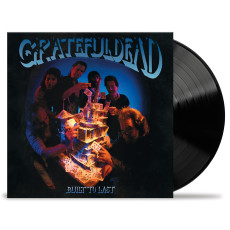 LP / Grateful Dead / Built To Last / Vinyl