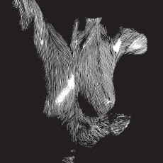 3LP / Oceansize / Self Preserved While The Bodies Float / Vinyl / 3LP