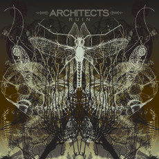 CD / Architects / Ruin