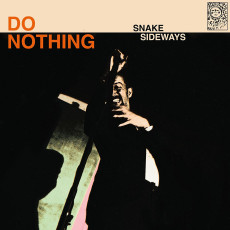 LP / Do Nothing / Snake Sideways / Vinyl