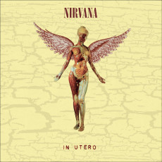 8LP / Nirvana / In Utero / Deluxe Box / Vinyl / 8LP