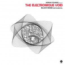 LP / Younge Adrian / Electronique Void:Black Noise Instrumen. / Vinyl