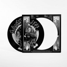 LP / Grateful Dead / American Beauty / 50Th Anniversary / Vinyl / Picture