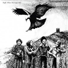 LP / Traffic / When The Eagle Flies / Vinyl