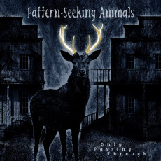 CD / Pattern-Seeking Animals / Only Passing Through / Digipack