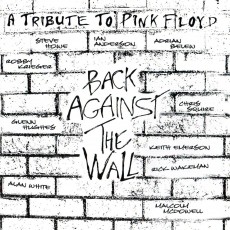 2LP / Pink Floyd / Back Against The Wall / Tribute / Vinyl / 2LP