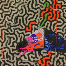 CD / Animal Collective / Tangerine Reef / Digisleeve