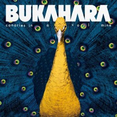 LP / Bukahara / Canaries In a Coal Mine / Vinyl