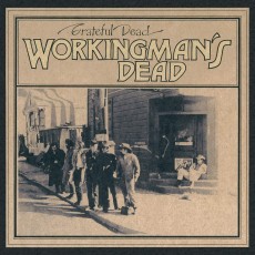 LP / Grateful Dead / Workingman's Dead / 50th Annivers. / Vinyl / Picture