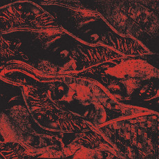 LP / Vermin Womb / Retaliation / Vinyl
