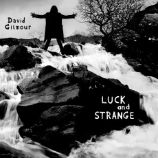 CD / Gilmour David / Luck and Strange / Softpack