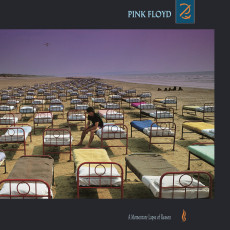 LP / Pink Floyd / Momentary Lapse Of Reason / Reedice / Vinyl