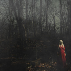 LP / 156/Silence / From a Distance / Orange Red / Vinyl