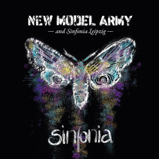 2CD/DVD / New Model Army / Sinfonia / 2CD+DVD