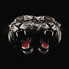 CD / Royal Blood / Dead Company