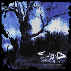 LP / Staind / Break The Cycle / 25th Anniversary / Black Ice / Vinyl