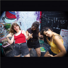 LP / Palberta / Palberta5000 / Vinyl