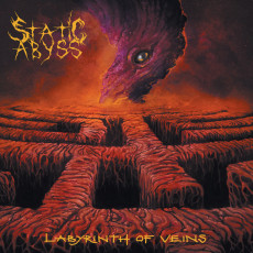 LP / Static Abyss / Labyrinth Of Veins / Vinyl