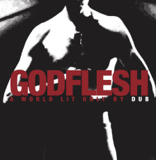 CD / Godflesh / World Lit Only By Dub