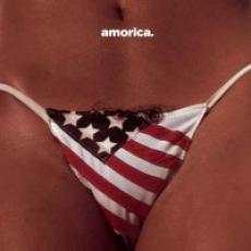 CD / Black Crowes / Amorica