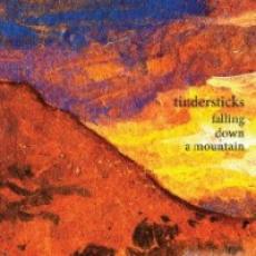 CD / Tindersticks / Falling Down A Mountain / Digisleeve