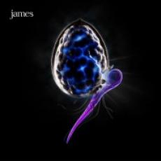 CD / James / Night Before