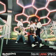 LP / Blossoms / Foolish Loving Spaces / Vinyl