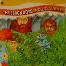 2LP / Beach Boys / Endless Summer / Vinyl / 2LP