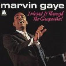 LP / Gaye Marvin / I Heard It ThroughThe Grapevine / Vinyl