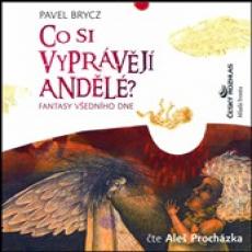 CD / Brycz Pavel / Co si vyprvj andl / Prochzka A.