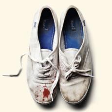 CD / Sleigh Bells / Reign Of Terror